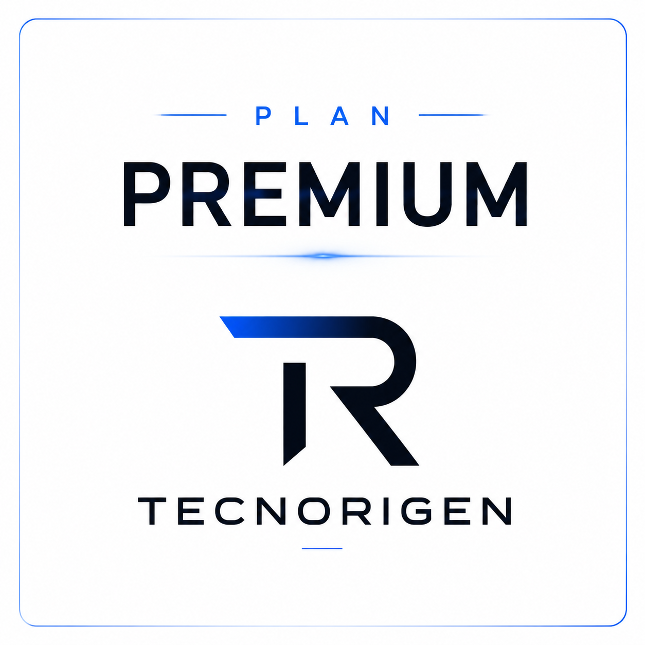 Plan Premium E-Commerce